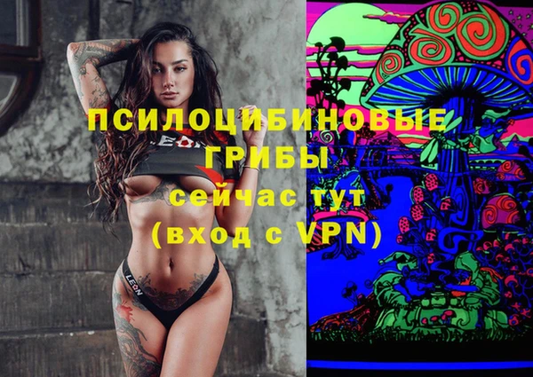 дмт Балахна