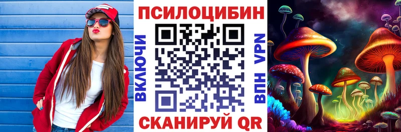 Псилоцибиновые грибы Psilocybe  Нарьян-Мар 